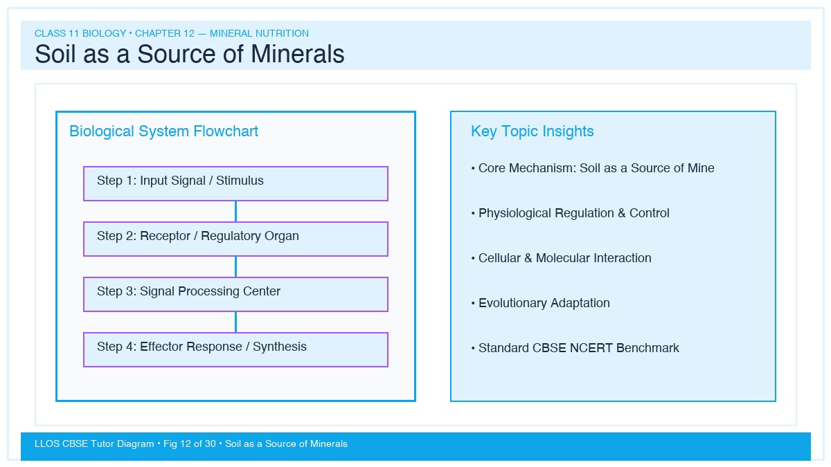 Fig 12 — Educational Diagram: Soil as a Source of Minerals