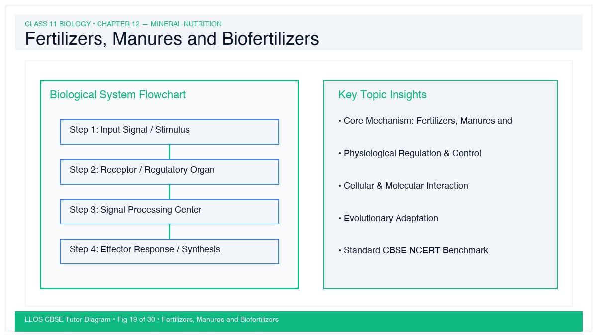 Fig 19 — Educational Diagram: Fertilizers, Manures and Biofertilizers