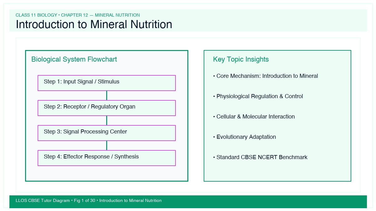 Fig 1 — Educational Diagram: Introduction to Mineral Nutrition