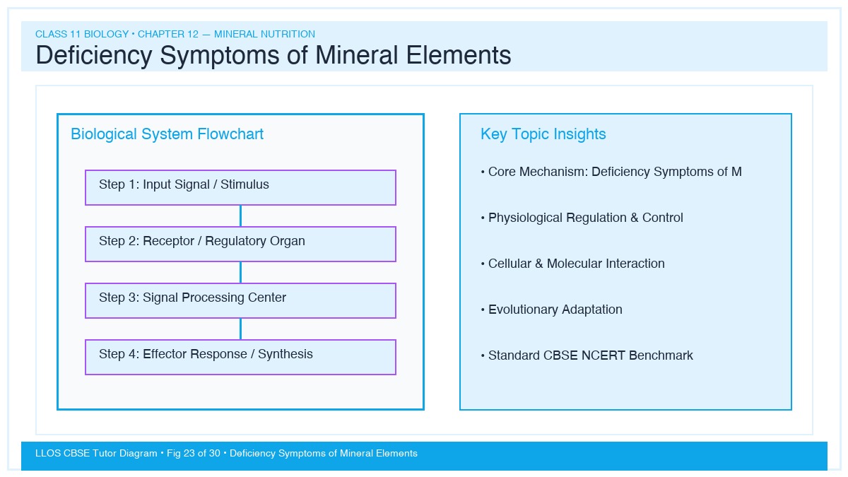 Fig 23 — Educational Diagram: Deficiency Symptoms of Mineral Elements