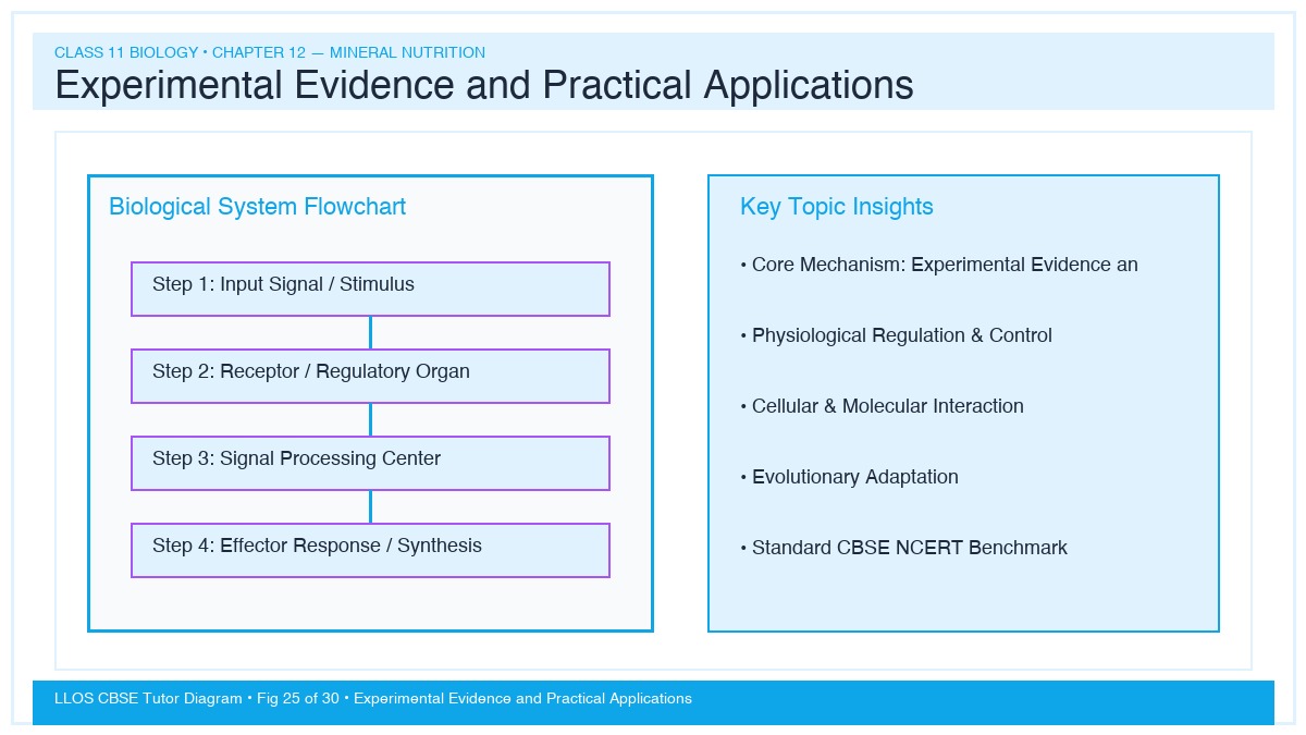 Fig 25 — Educational Diagram: Experimental Evidence and Practical Applications