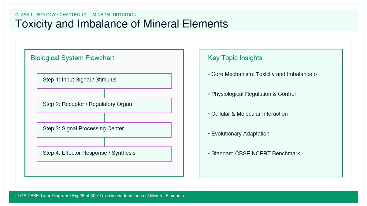 Fig 26 — Educational Diagram: Toxicity and Imbalance of Mineral Elements