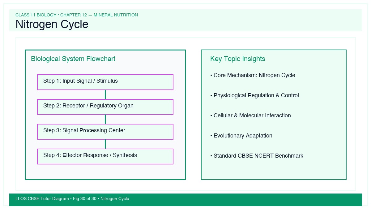 Fig 30 — Educational Diagram: Nitrogen Cycle