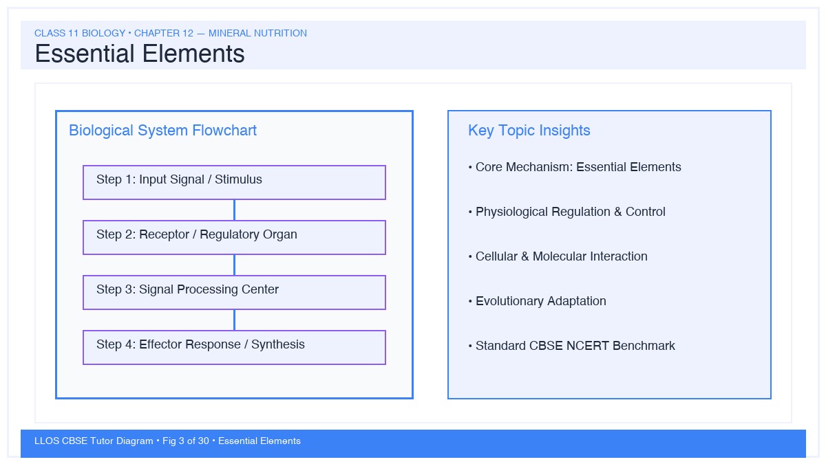 Fig 3 — Educational Diagram: Essential Elements
