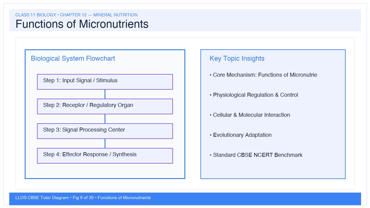 Fig 9 — Educational Diagram: Functions of Micronutrients