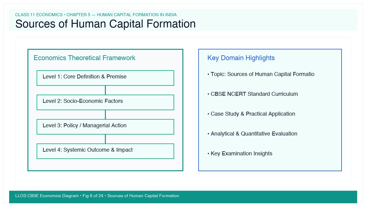 Fig 6 — Educational Diagram: Sources of Human Capital Formation