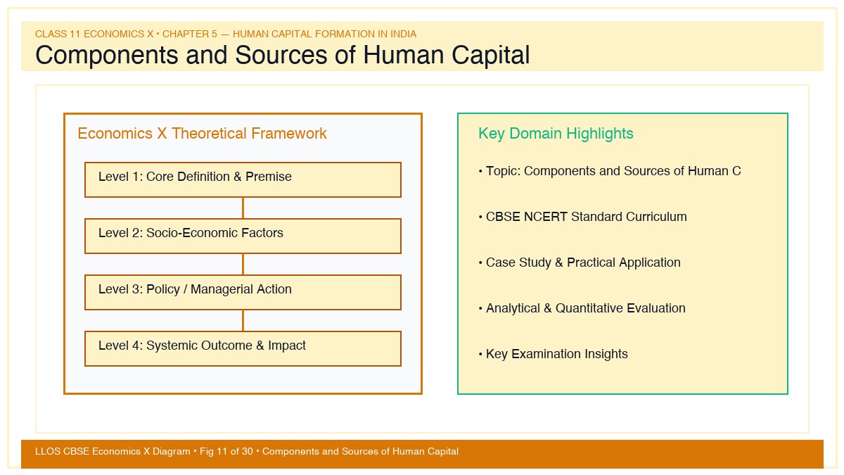 Fig 11 — Educational Diagram: Components and Sources of Human Capital