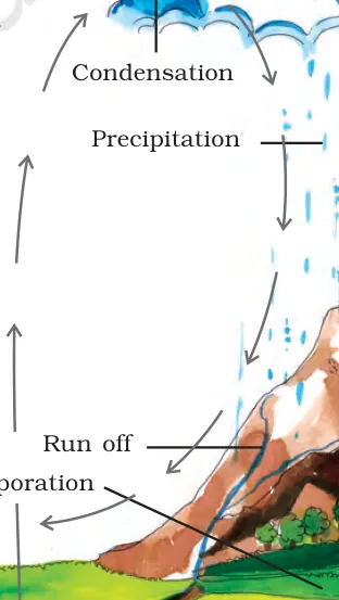 Figure from Water