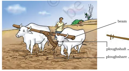 Figure from Crop Production And Management