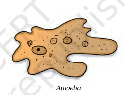 Figure from Microorganisms Friend And Foe