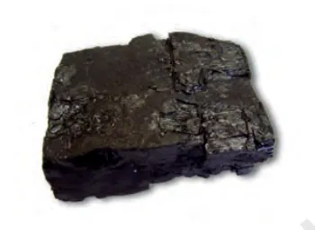 Figure from Coal And Petroleum