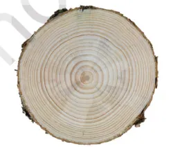 Figure from Tissues