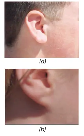Figure from Heredity And Evolution