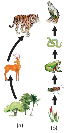 Figure from Our Environment
