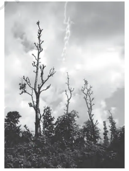 Figure from Climate