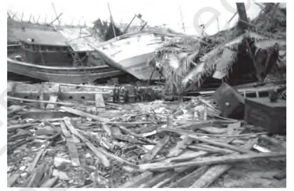 Figure from Natural Hazards And Disasters