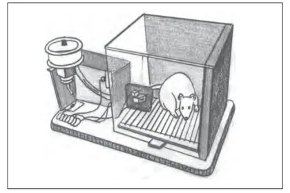 Figure from Sensory Attentional And Perceptual Processes