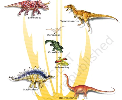 Figure from Evolution