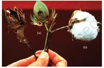 Figure from Biotechnology And Its Applications