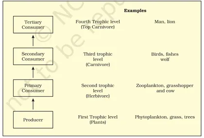 Figure from Ecosystem
