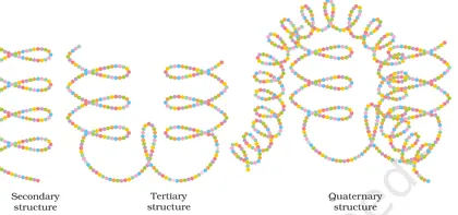 Figure from Biomolecules