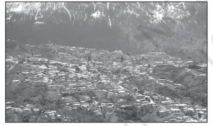 Figure from Human Settlements