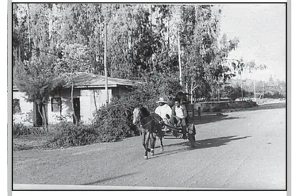 Figure from Transport And Communication