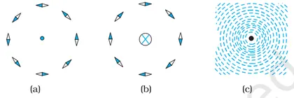 Figure from Moving Charges And Magnetism